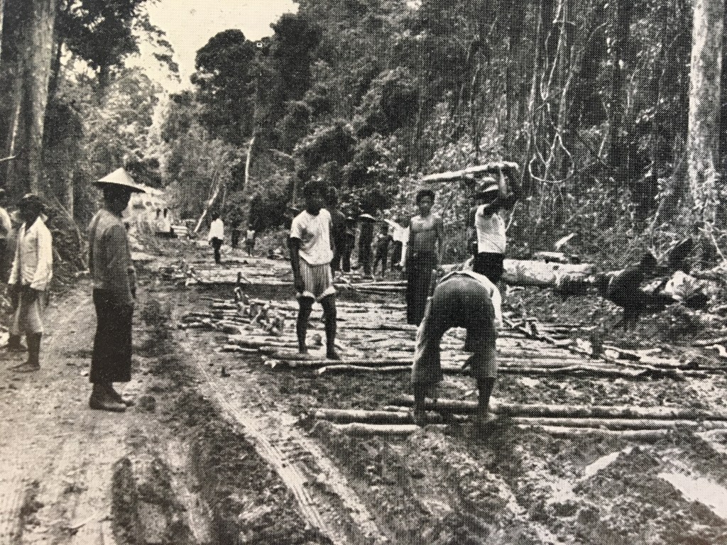 The Plantation Dream