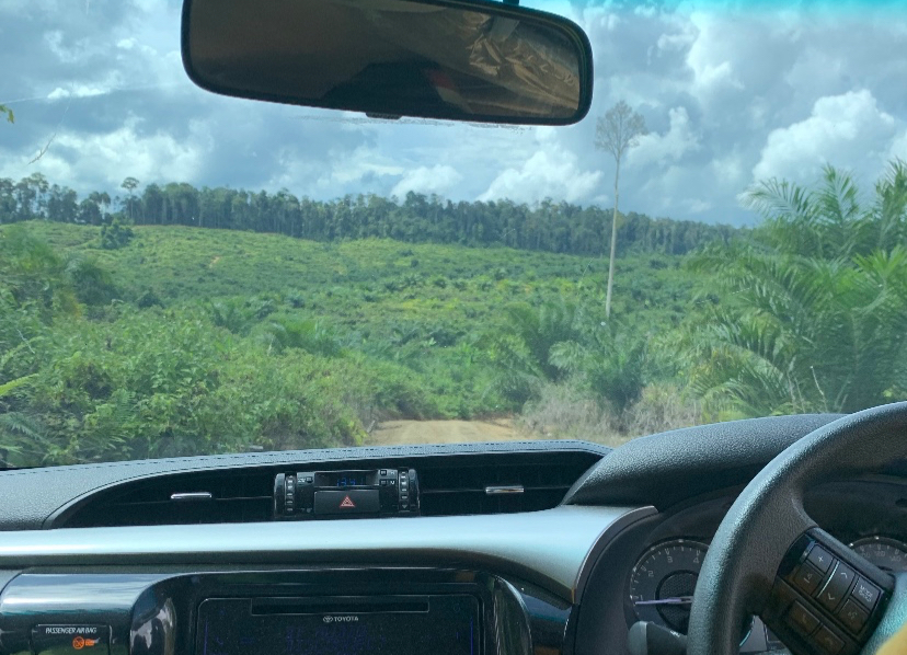 Seeing is Not&nbsp;Believing