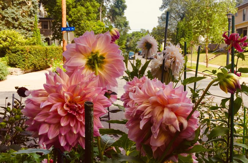 This Feels Like A Stand Up Comedy Tour at This Point