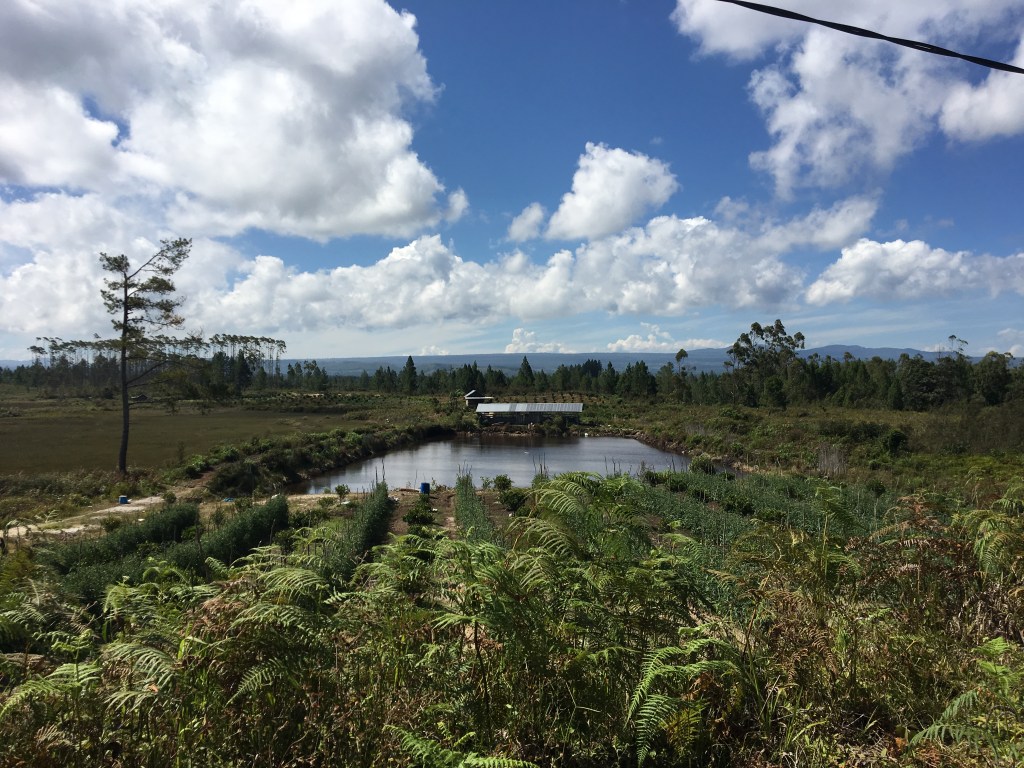 In the Cold Hill of Dolok Sanggul, Five Years&nbsp;After
