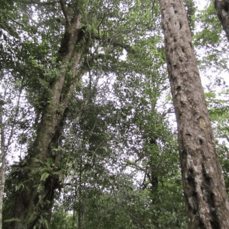 The Faculty of&nbsp;Loss