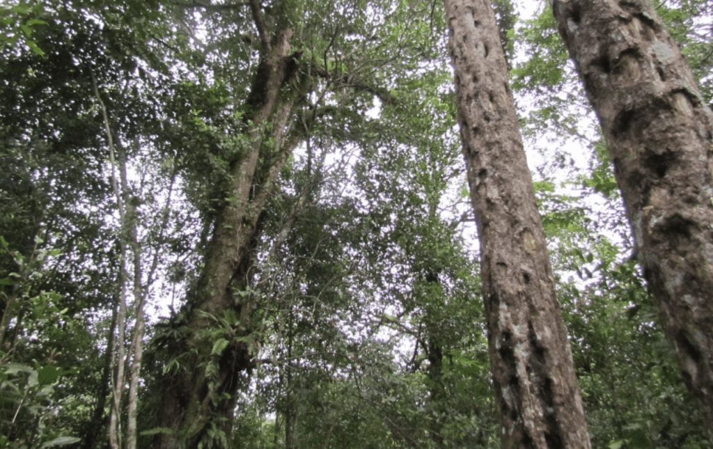 The Faculty of&nbsp;Loss